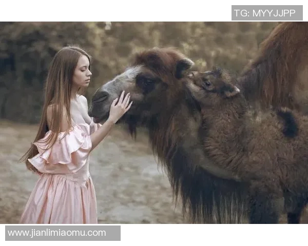 中国女星与足球明星亲密合影展现魅力瞬间引发网友热议与关注