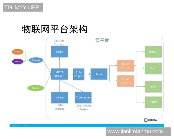 体育产品微商新机遇如何在竞争中脱颖而出实现盈利增长